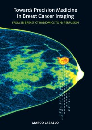 Towards Precision Medicine in Breast Cancer Imaging - From 3D Breast CT Radiomics to 4D Perfusion